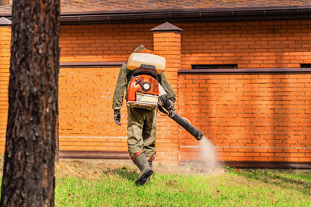 Top rated local Cockroach Control specialists in Powhatan Point, OH